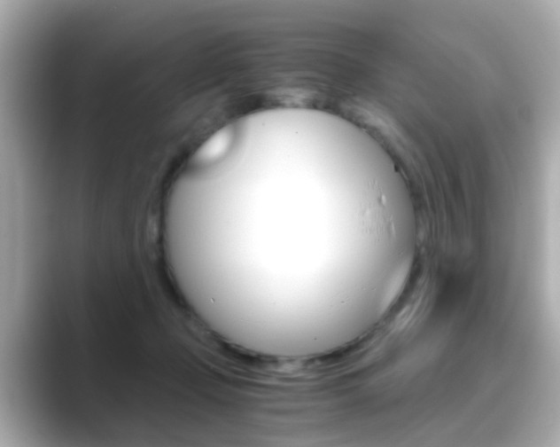X0000089750365200706210928