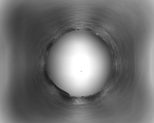 X0000089750372200706210929