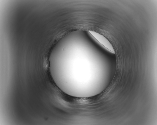 X0000089750383200706210929