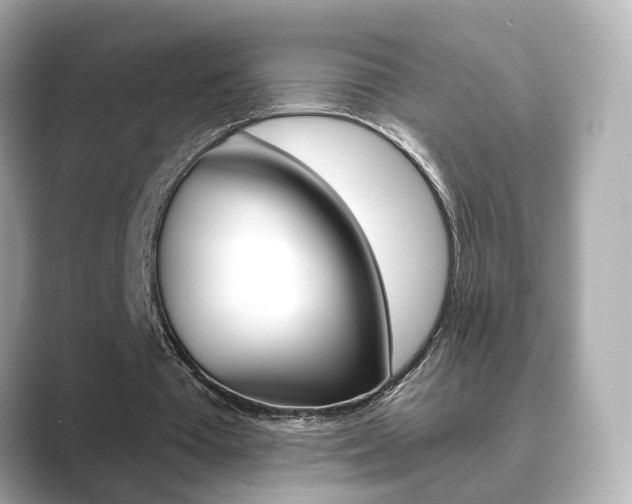 X0000089750385200706210928