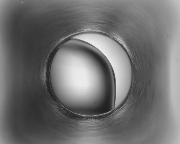 X0000089750387200706210928