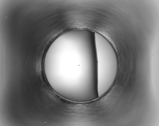 X0000089750390200706210928