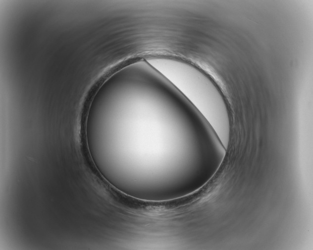 X0000089750391200706210928