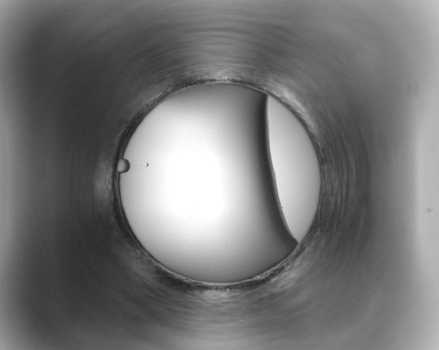 X0000089750394200706210928
