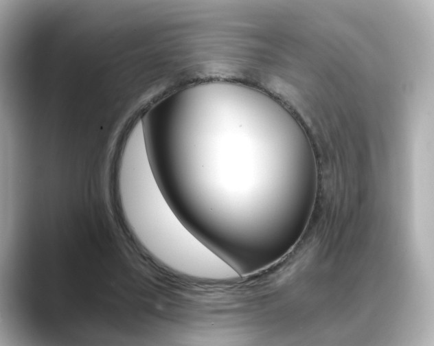 X0000089750395200706210928