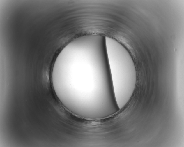 X0000089750398200706210928