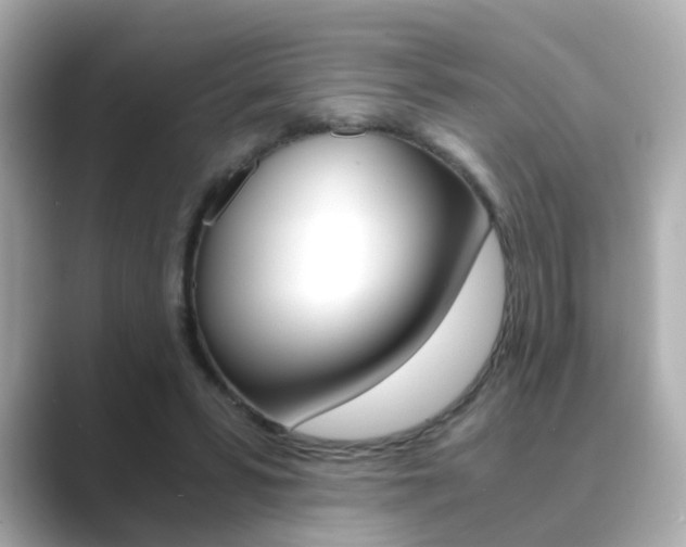 X0000089750399200706210928