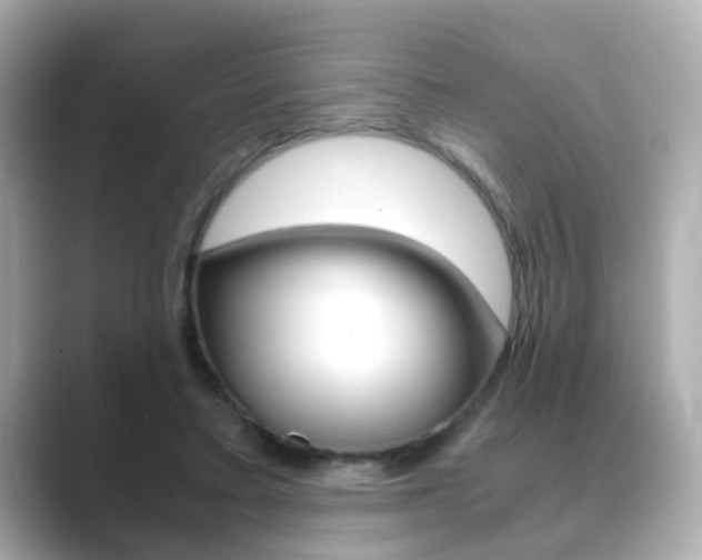 X0000089750403200706210928