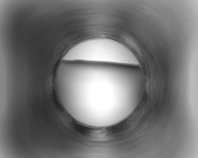 X0000089750410200706210928