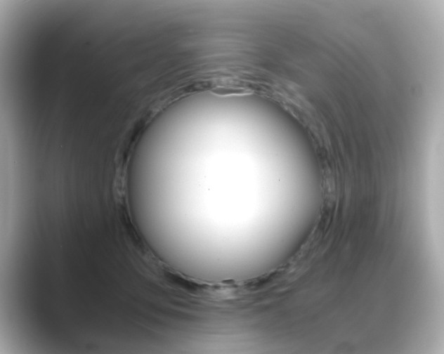 X0000089750419200706210928