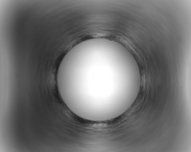 X0000089750426200706210928