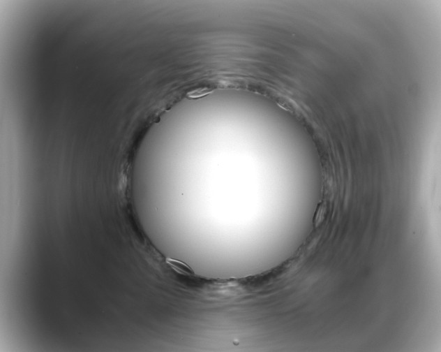 X0000089750427200706210928