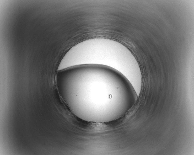 X0000089750429200706210928
