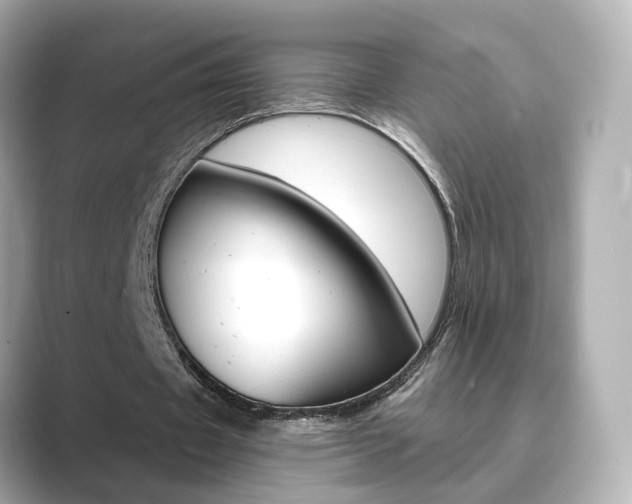 X0000089750433200706210927