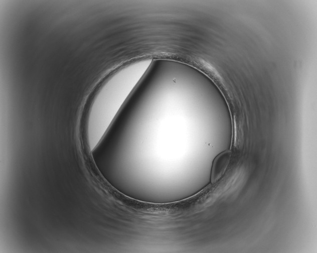 X0000089750435200706210927
