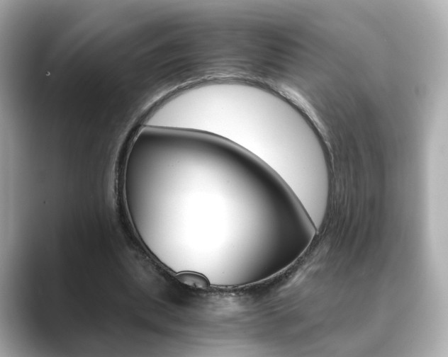 X0000089750439200706210927