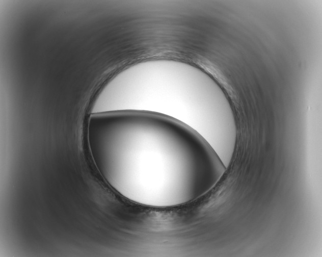X0000089750442200706210927