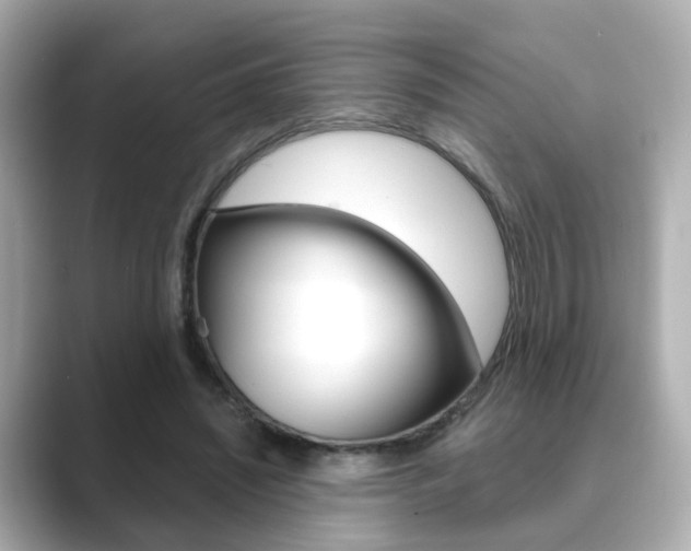 X0000089750444200706210927