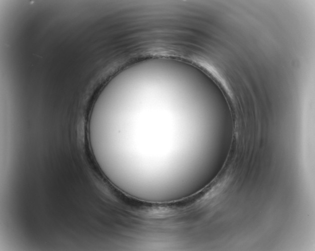 X0000089750445200706210927