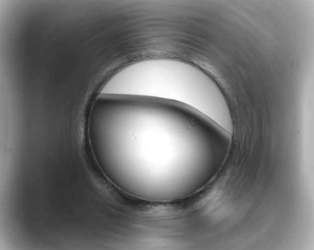 X0000089750446200706210927
