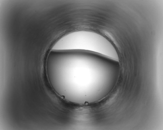 X0000089750447200706210927