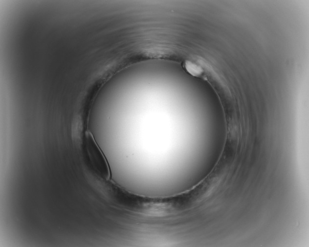 X0000089750448200706210927