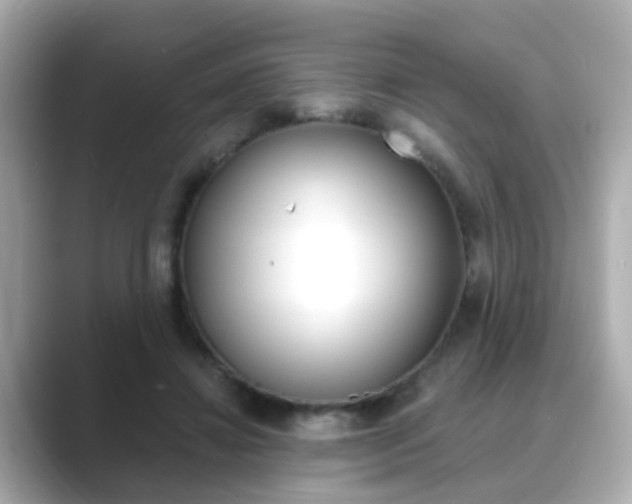 X0000089750452200706210927