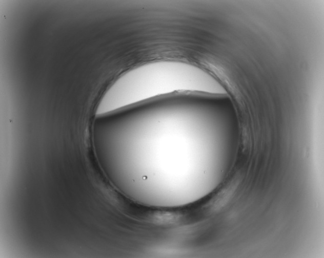 X0000089750453200706210927