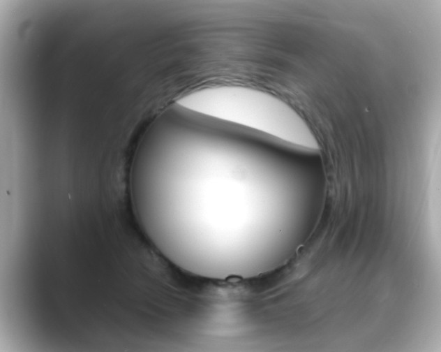 X0000089750466200706210927