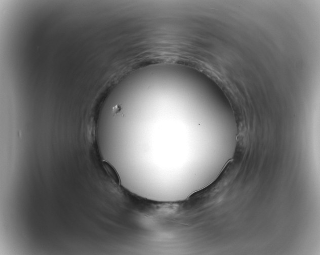 X0000089750474200706210927