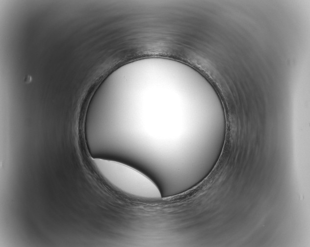 X0000089750482200706210927