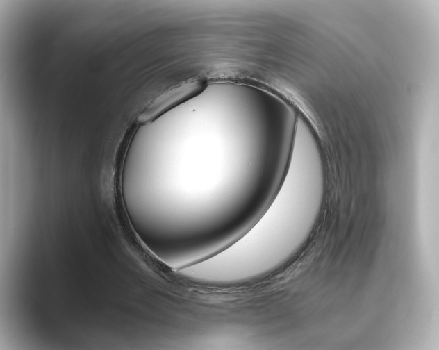 X0000089750485200706210927