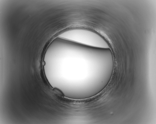 X0000089750487200706210927