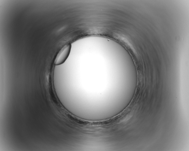 X0000089750491200706210927
