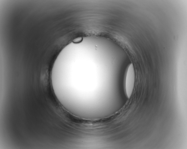 X0000089750498200706210927