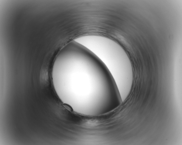 X0000089750500200706210927