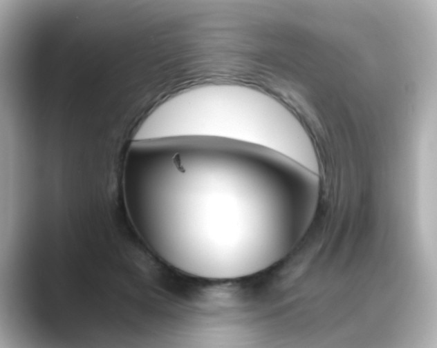 X0000089750505200706210927