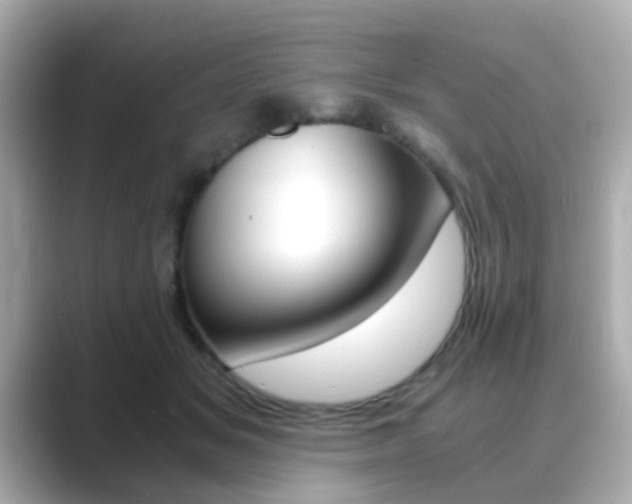 X0000089750509200706210926