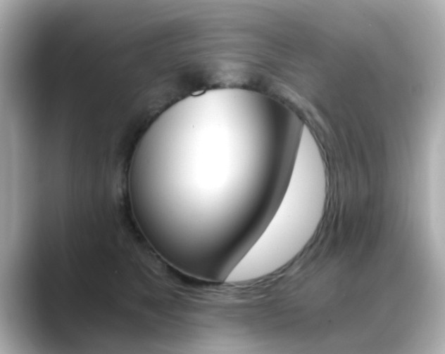 X0000089750517200706210926