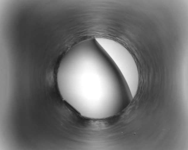 X0000089750520200706210926