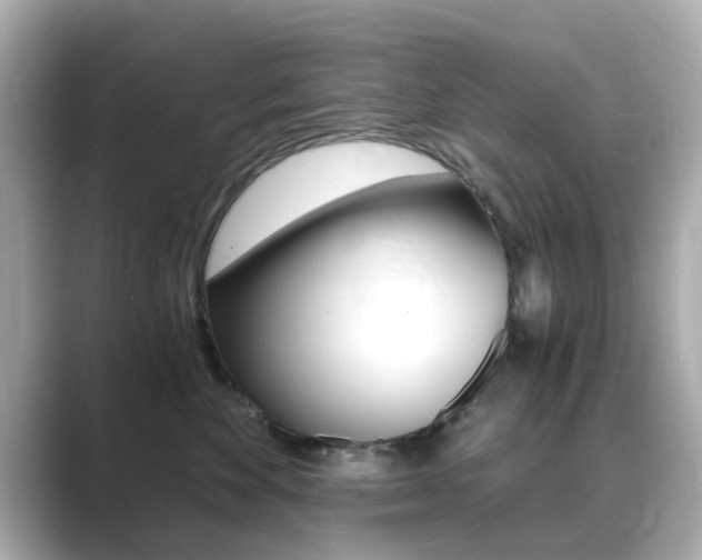 X0000089750524200706210926