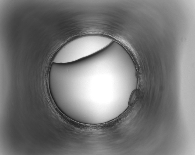 X0000089750529200706210926