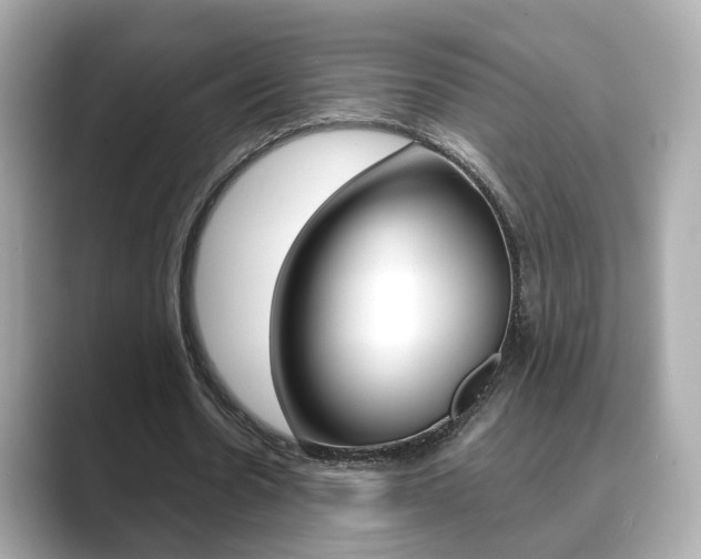 X0000089750530200706210926
