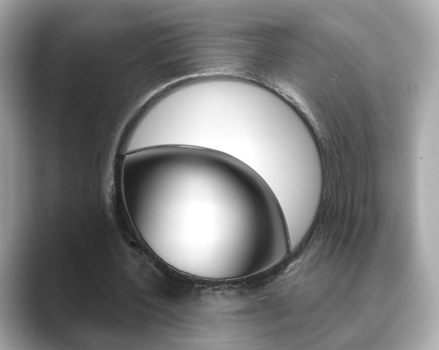 X0000089750532200706210926