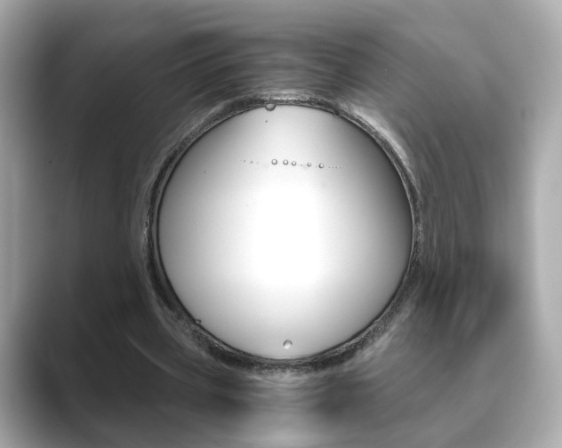 X0000089750533200706210926