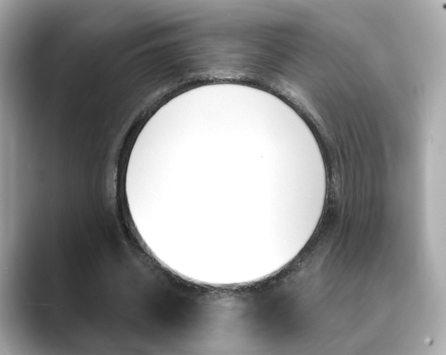 X0000089750534200706210926