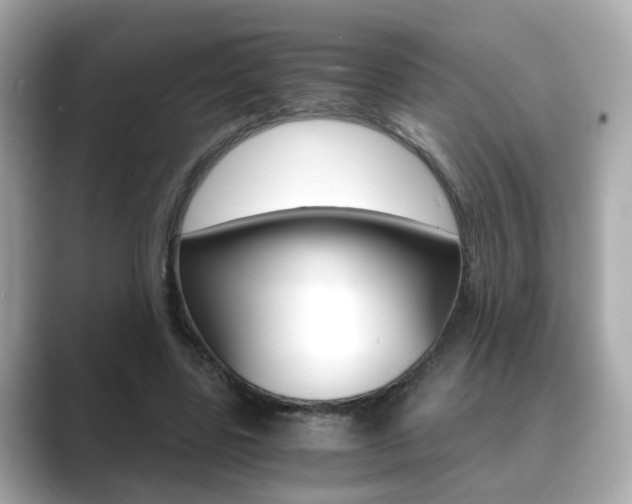 X0000089750539200706210926