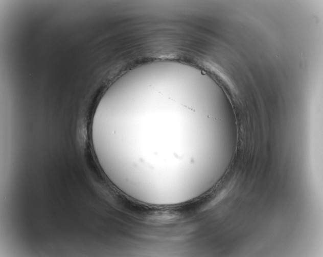 X0000089750541200706210926