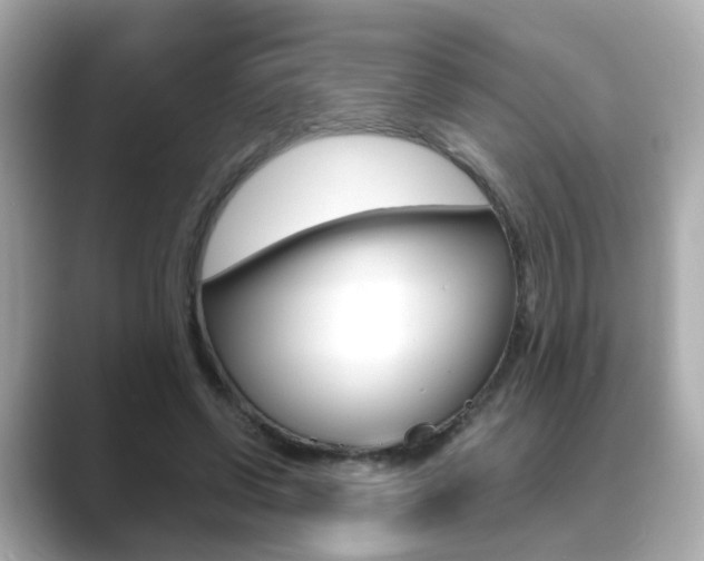 X0000089750542200706210926