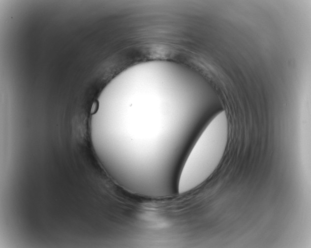 X0000089750554200706210926